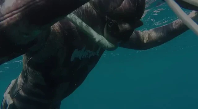 Stator Tenerife - Freediving & Spearfishing