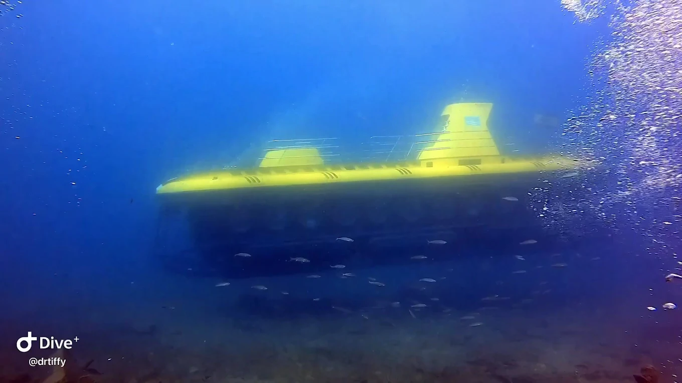 Gran Canaria Divers