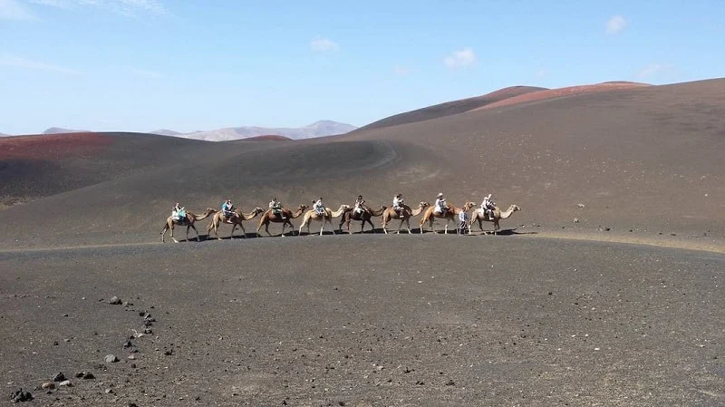 Ok Lanzarote - Excursiones & Tours