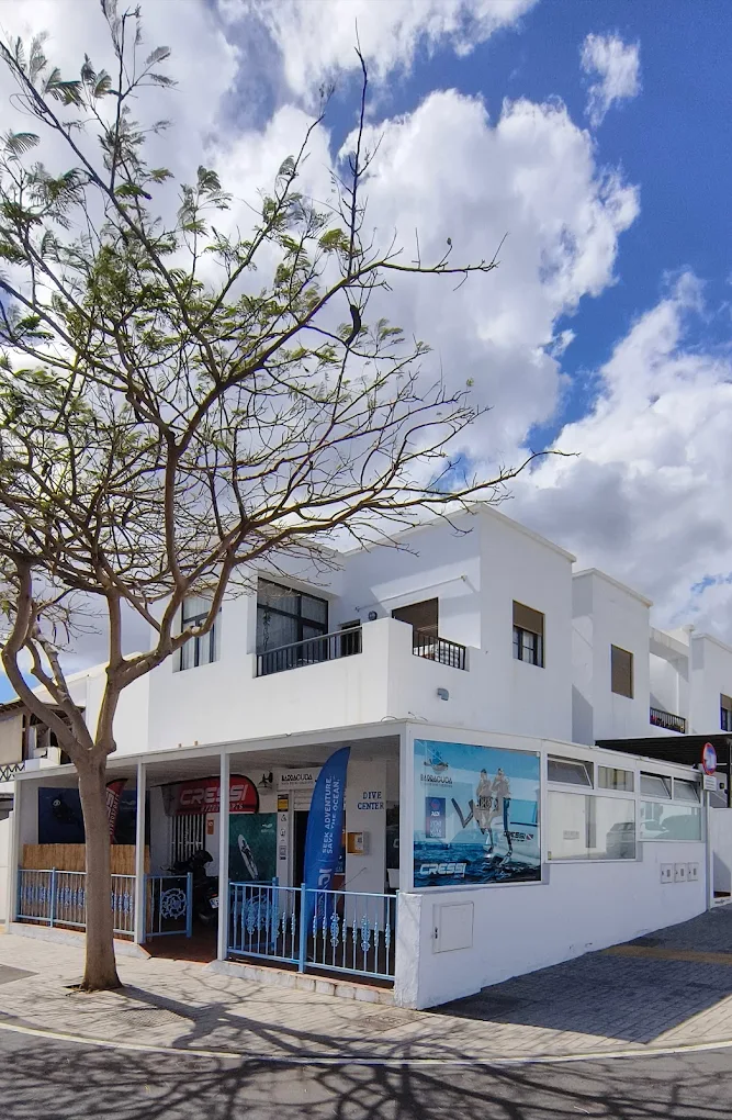 BARRACUDA Scuba Diving Lanzarote | Tu Aventura Submarina Empieza Aquí