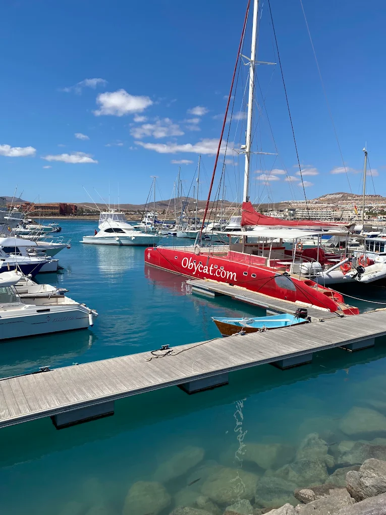Albakora Cat Sport Fishing