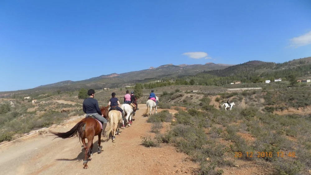 Horse Riding Tenerife - Paseos a Caballo Tenerife