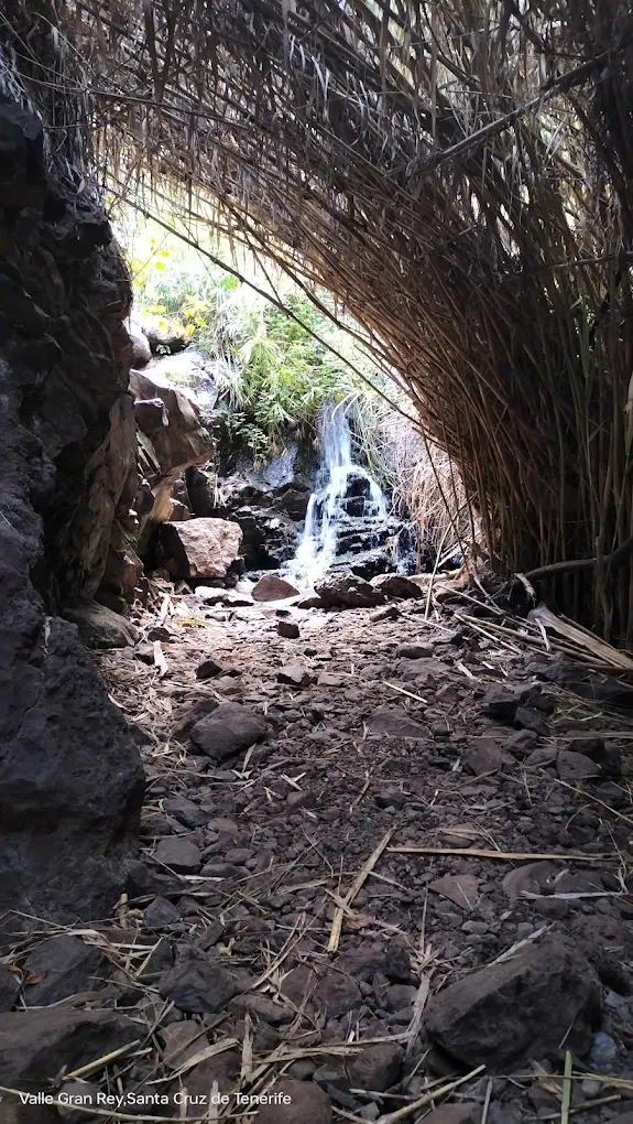 Ruta Barranco de Los Ancones (Parque Rural de Valle Gran Rey)