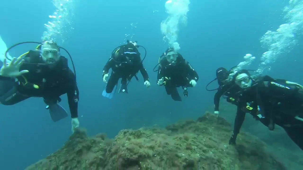 Arrecifal Centro de Buceo | Dive Center