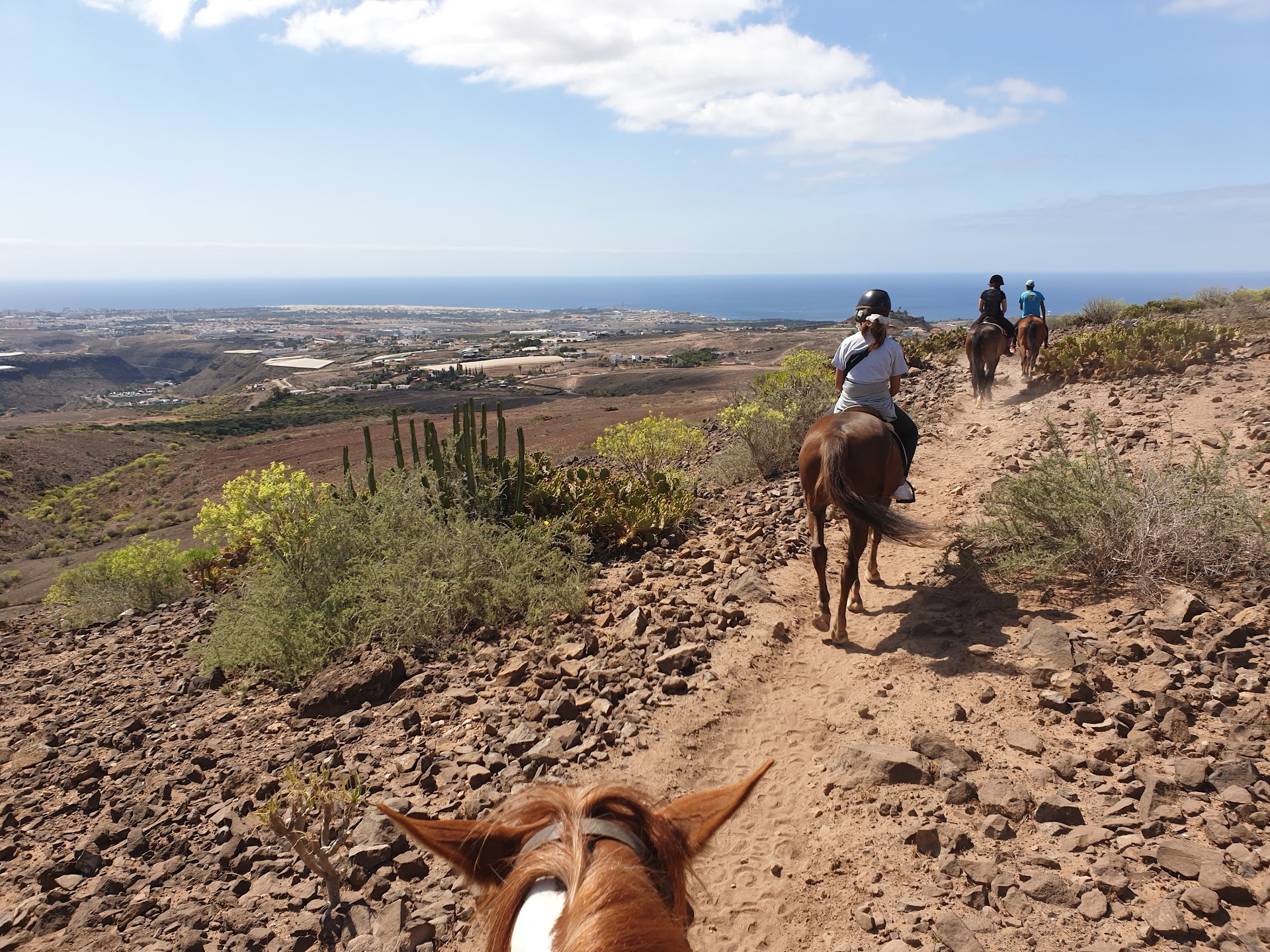 Horseback Riding in Gáldar photo 2