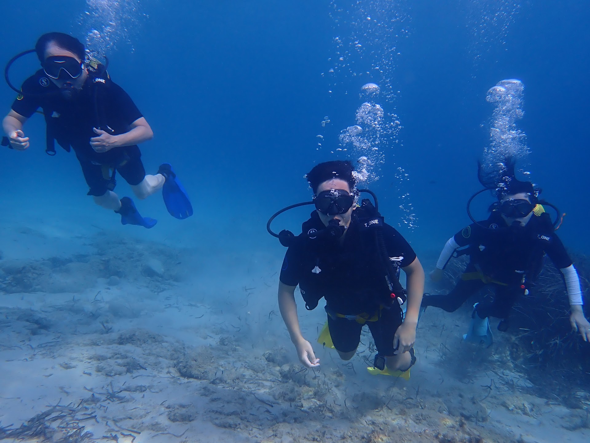 Diving & Snorkeling in Paguera photo 1