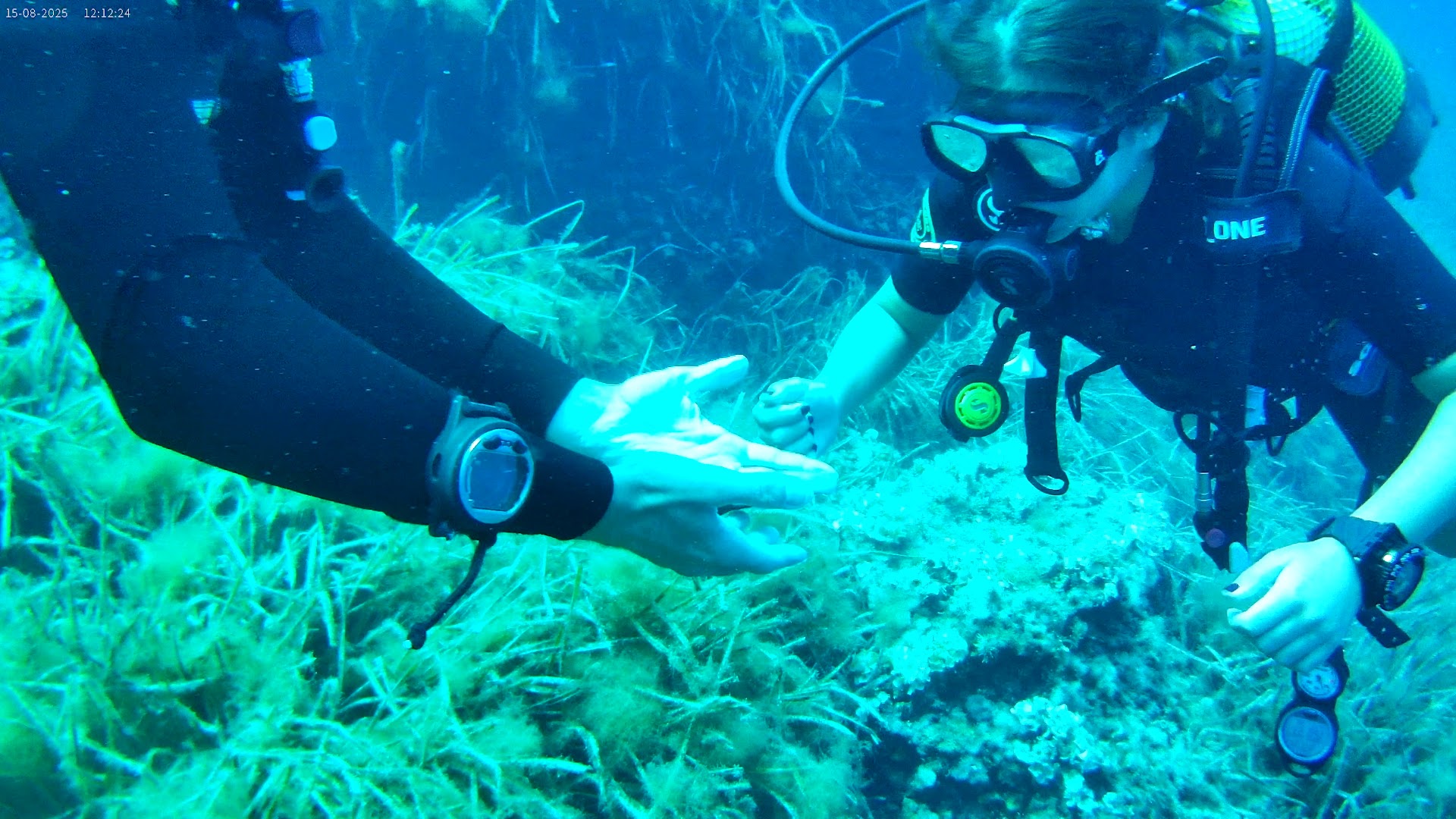 Diving & Snorkeling in Paguera photo 2