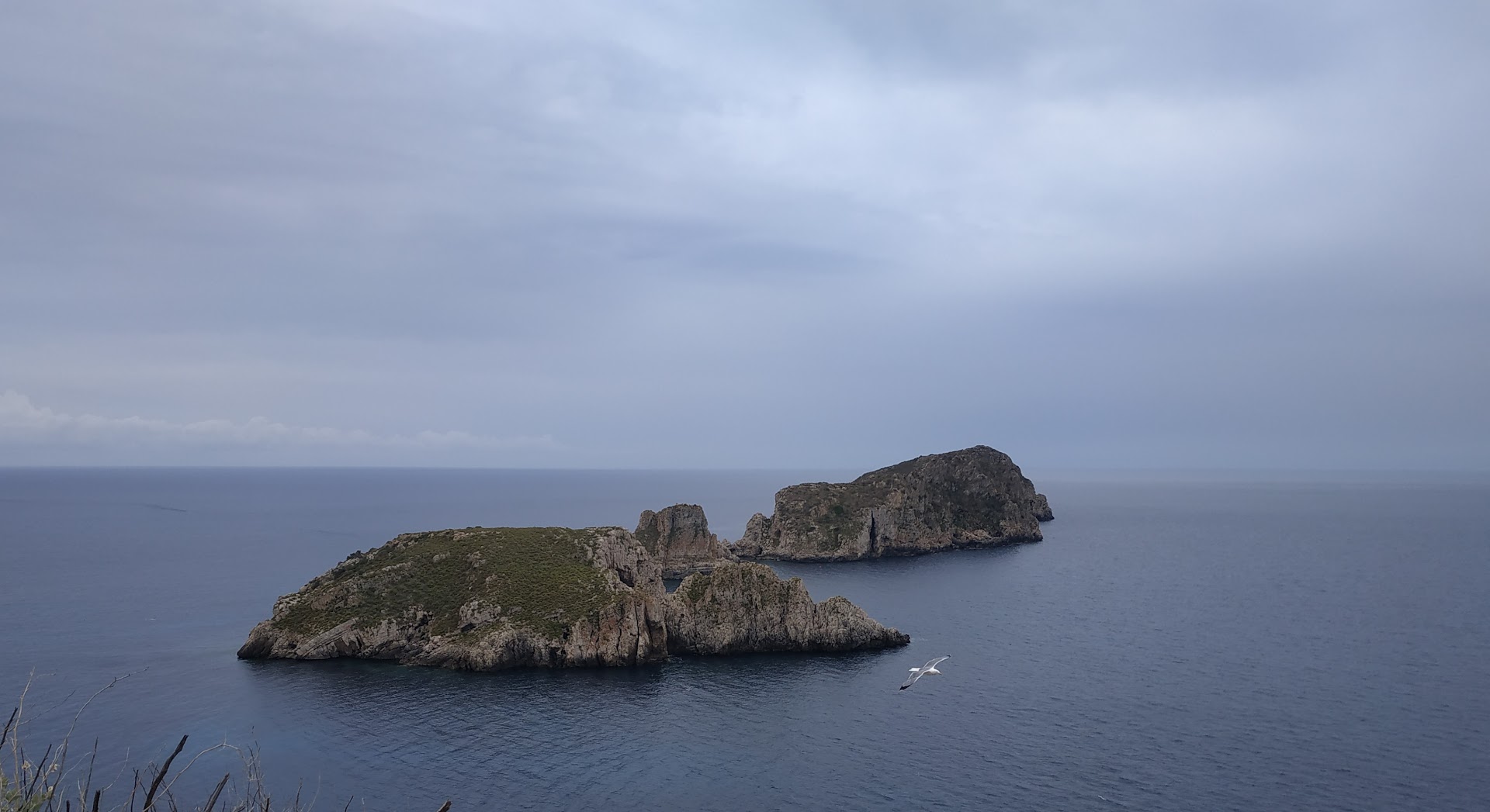 Diving & Snorkeling in Paguera photo 4