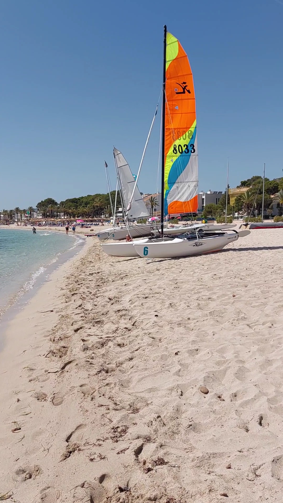 Sailing Lessons in Playa de Muro photo 3