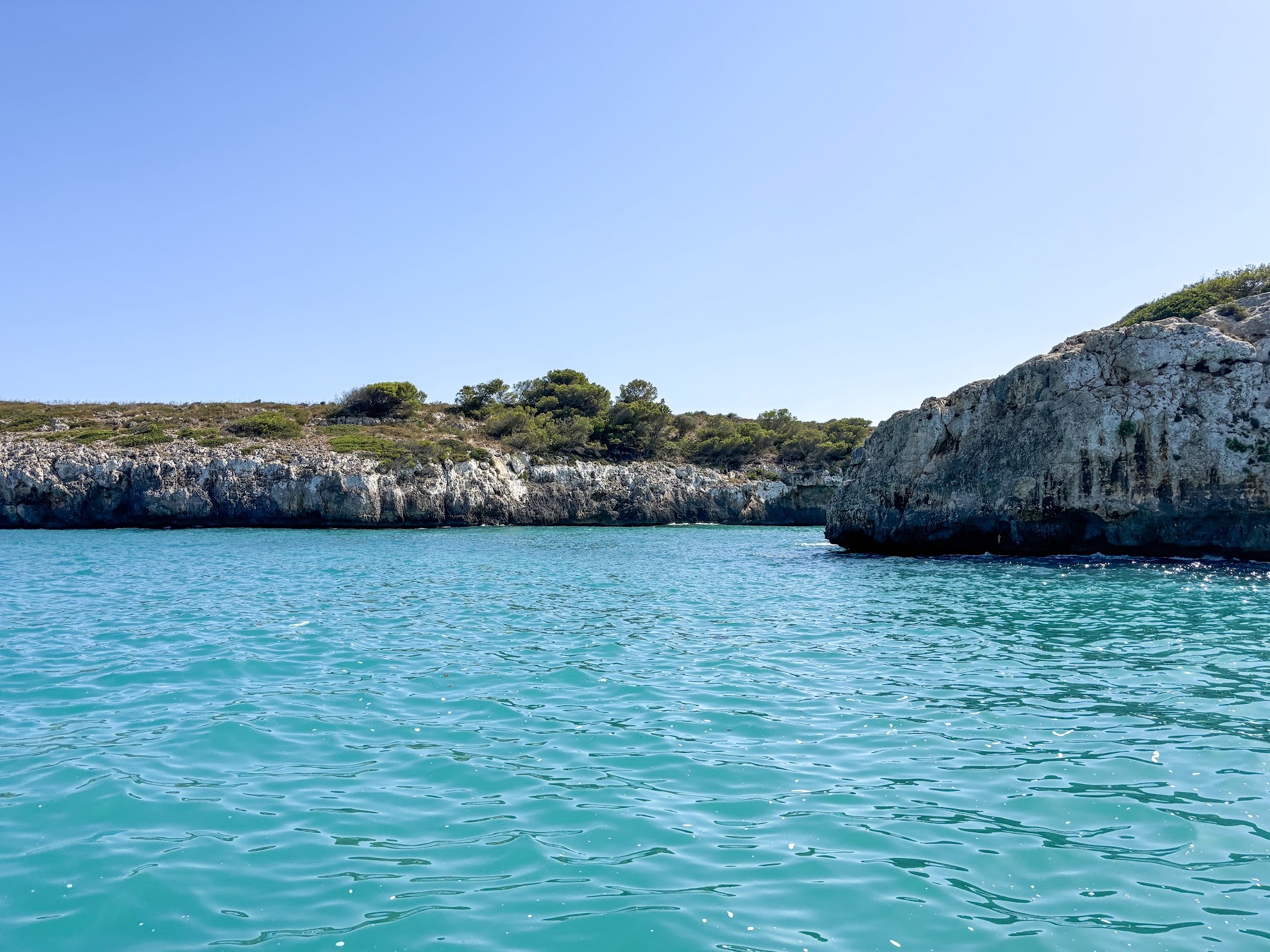 Whale Watching in Porto Cristo photo 2