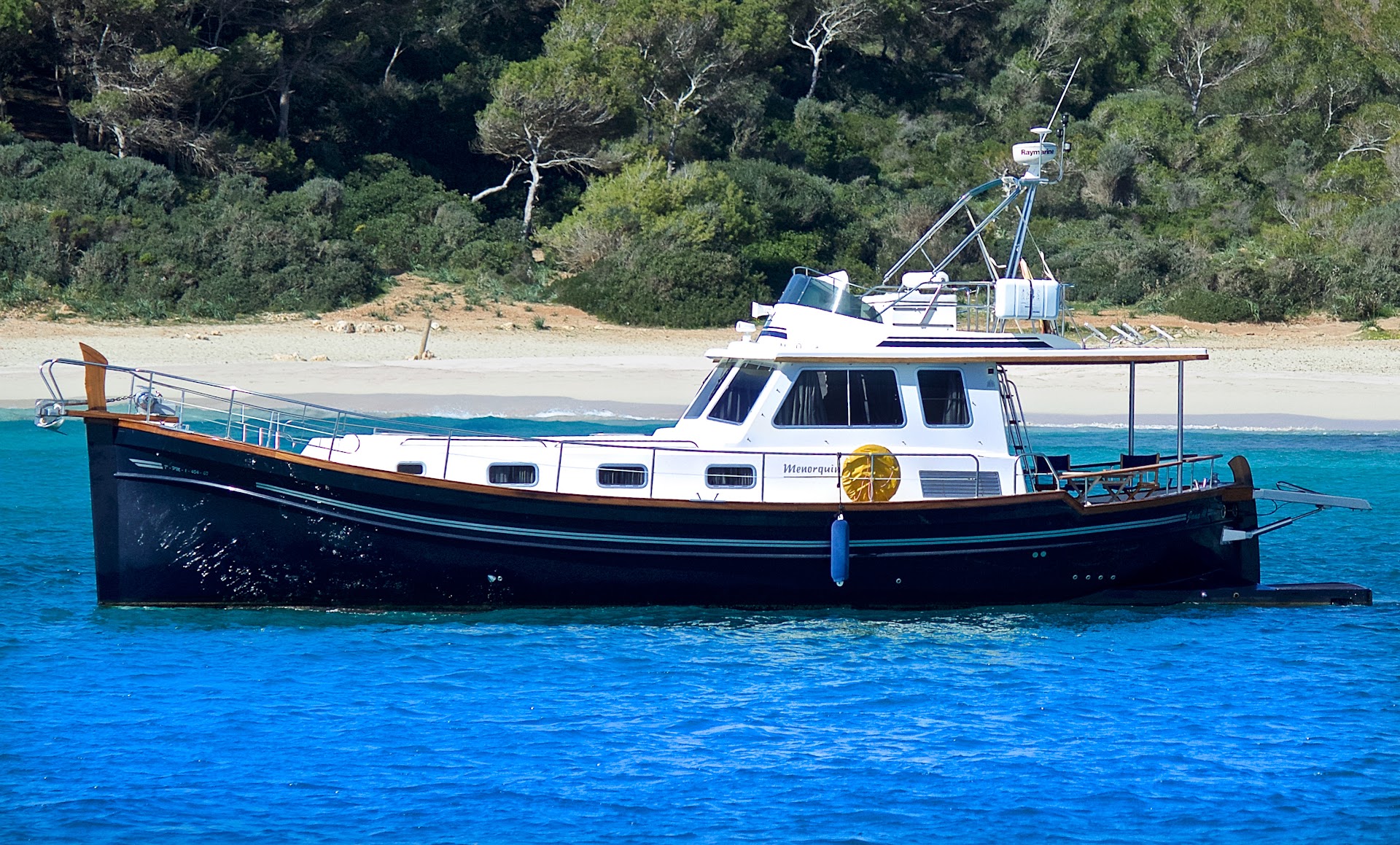 Whale Watching in Porto Cristo photo 4