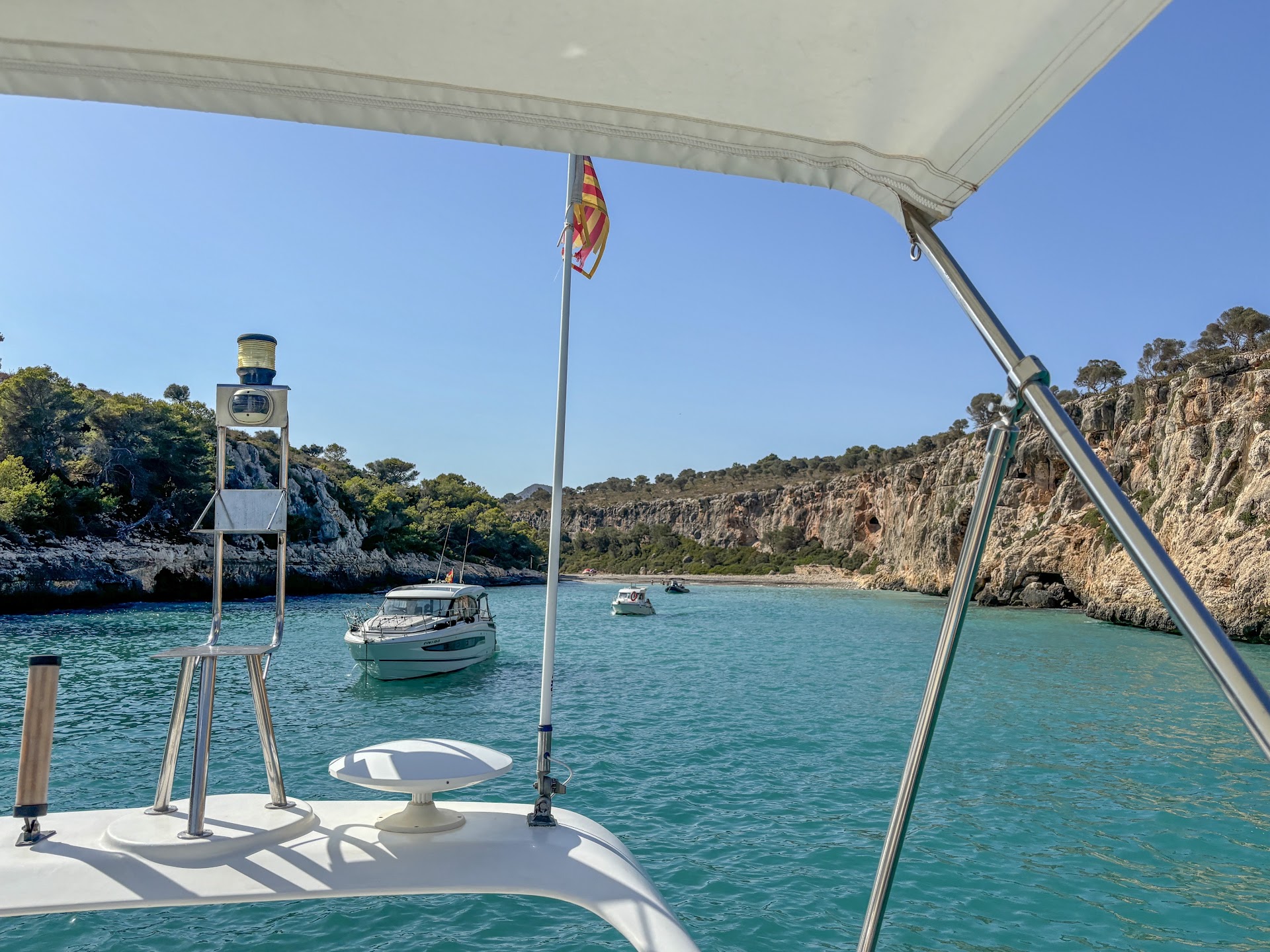 Whale Watching in Porto Cristo photo 5