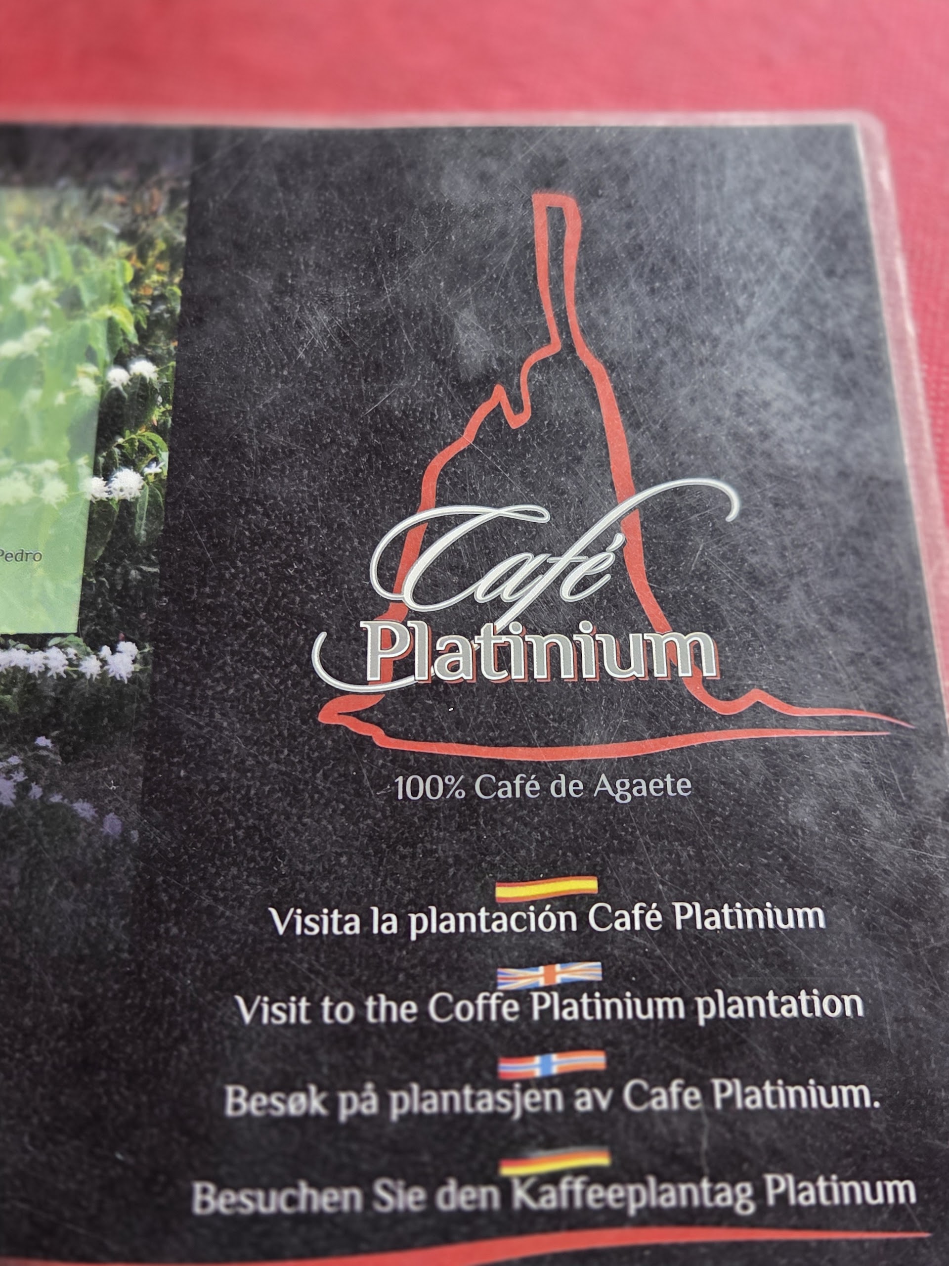 Coffee Tour Agaete photo 2