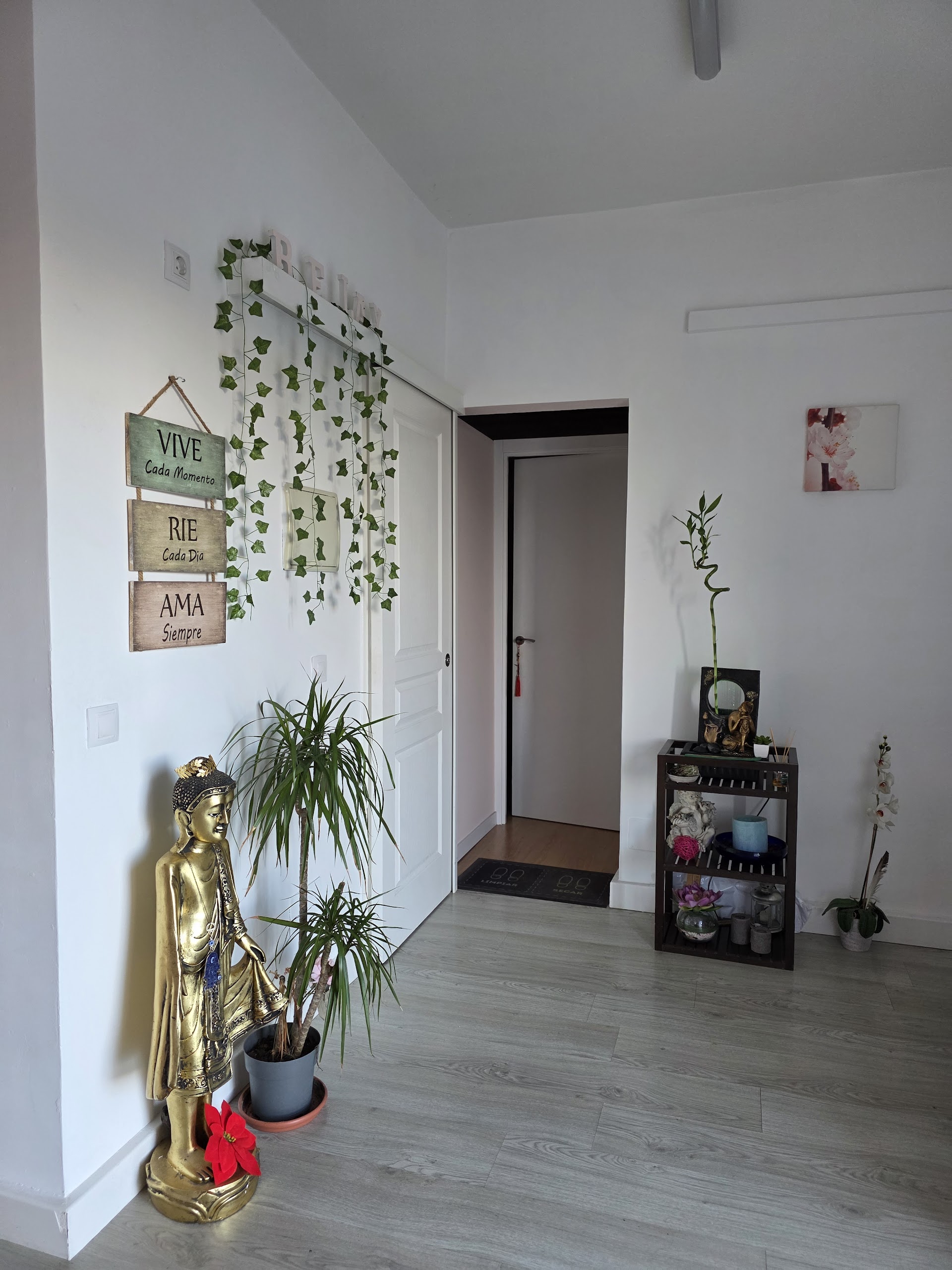 Spa & Massage in Cala Pi photo 5