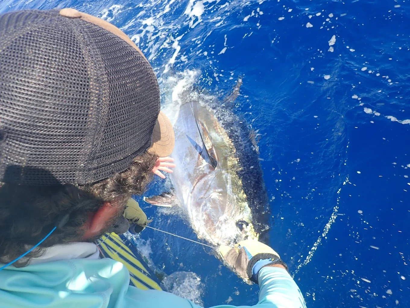Fishing Charter in Playa de Santiago photo 3