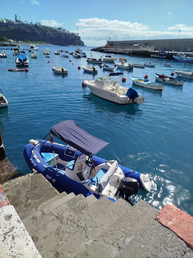 Fishing Charter in Playa de Santiago photo 5