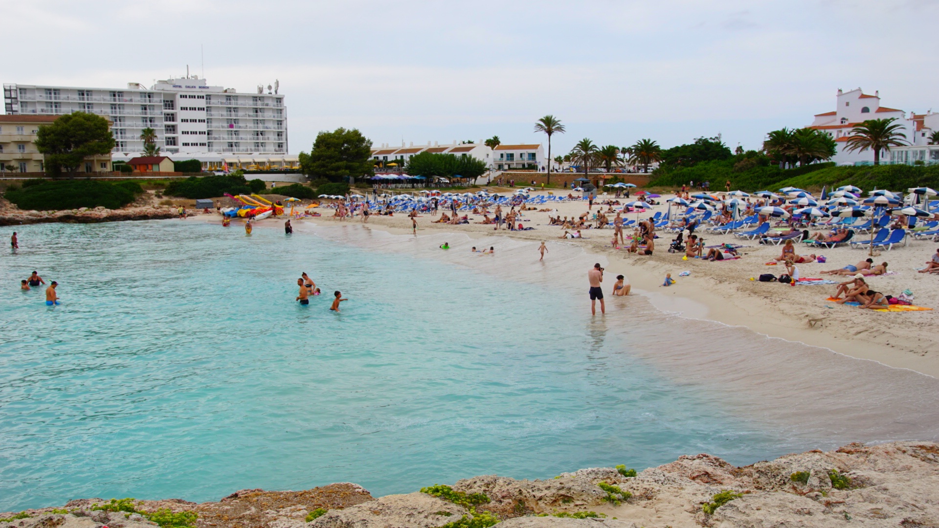 Dolphin Watching in Cala en Bosch photo 1