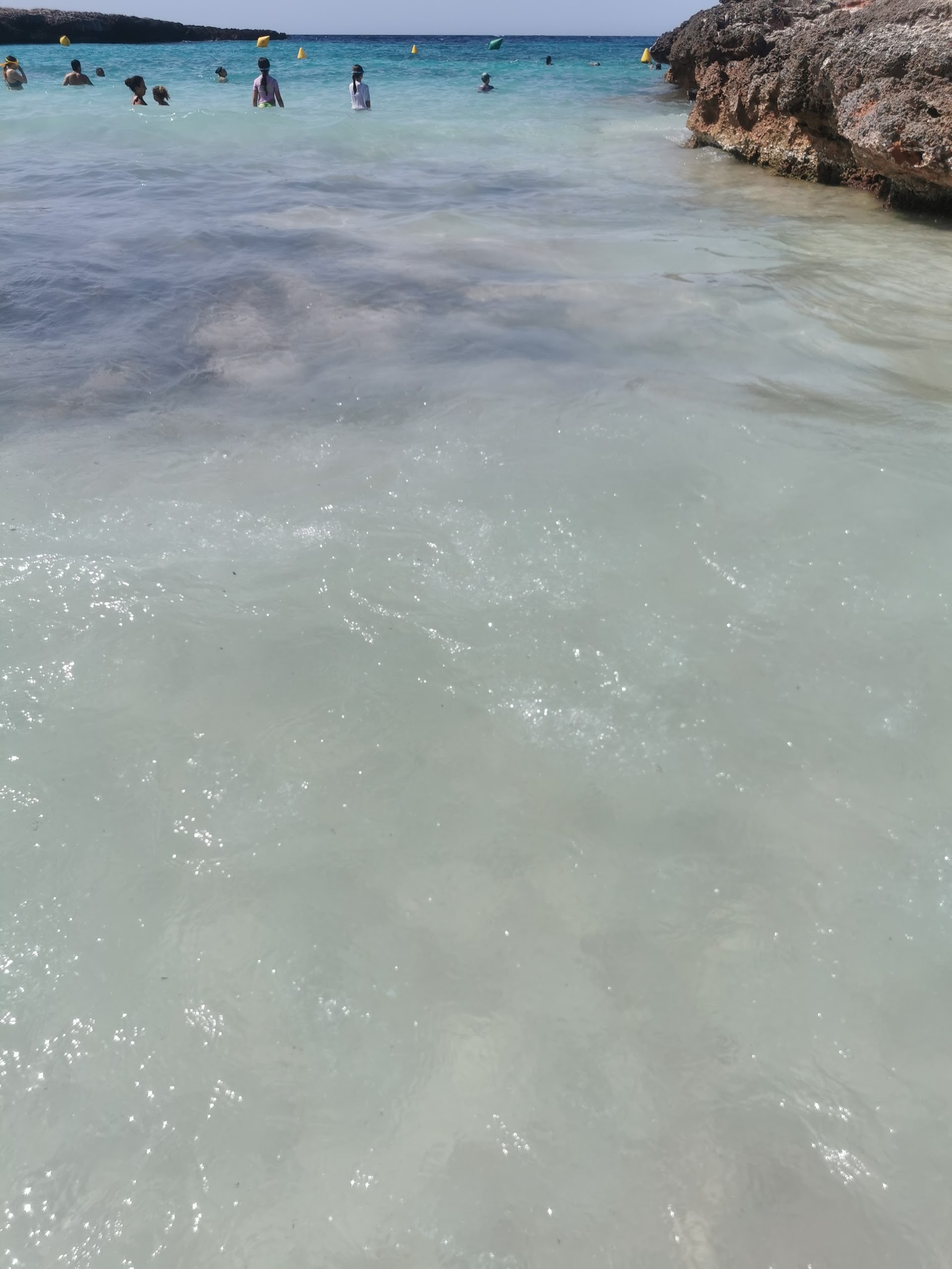 Dolphin Watching in Cala en Bosch photo 2