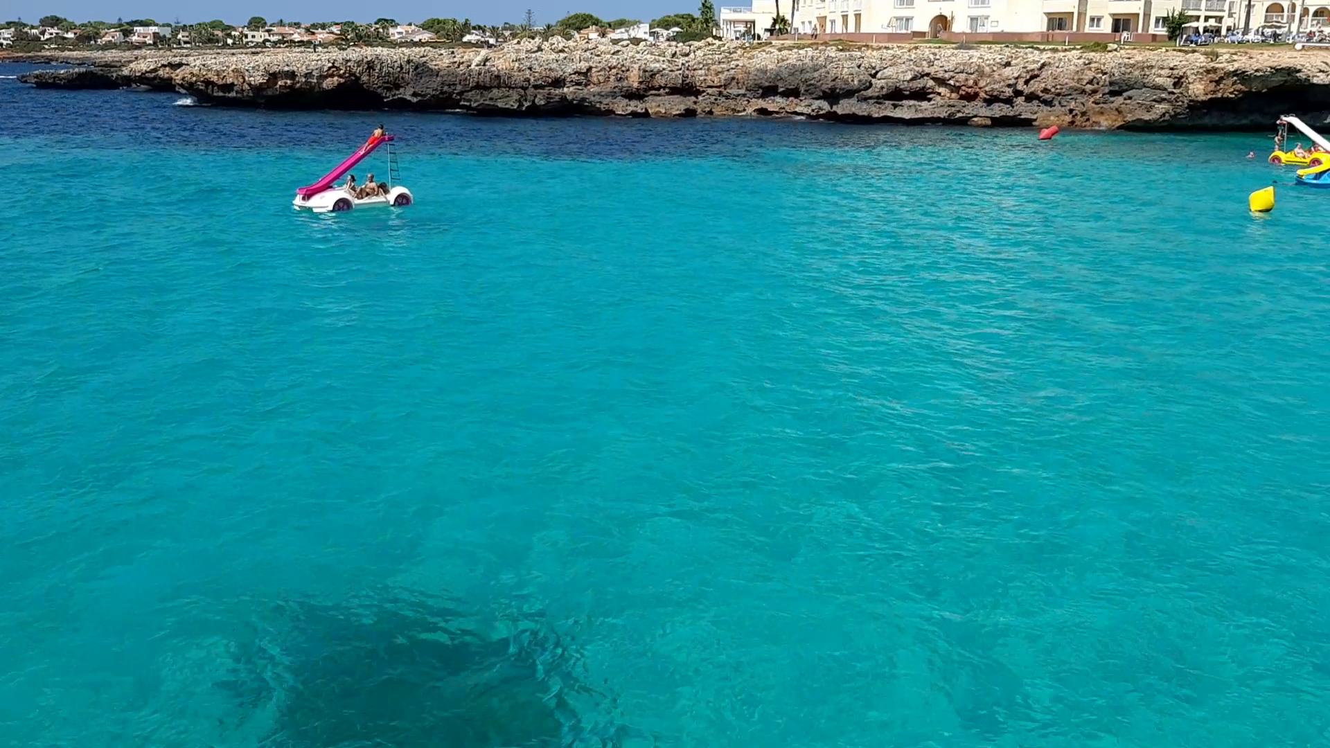 Dolphin Watching in Cala en Bosch photo 3