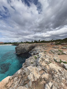 Dolphin Watching in Cala en Bosch photo 4