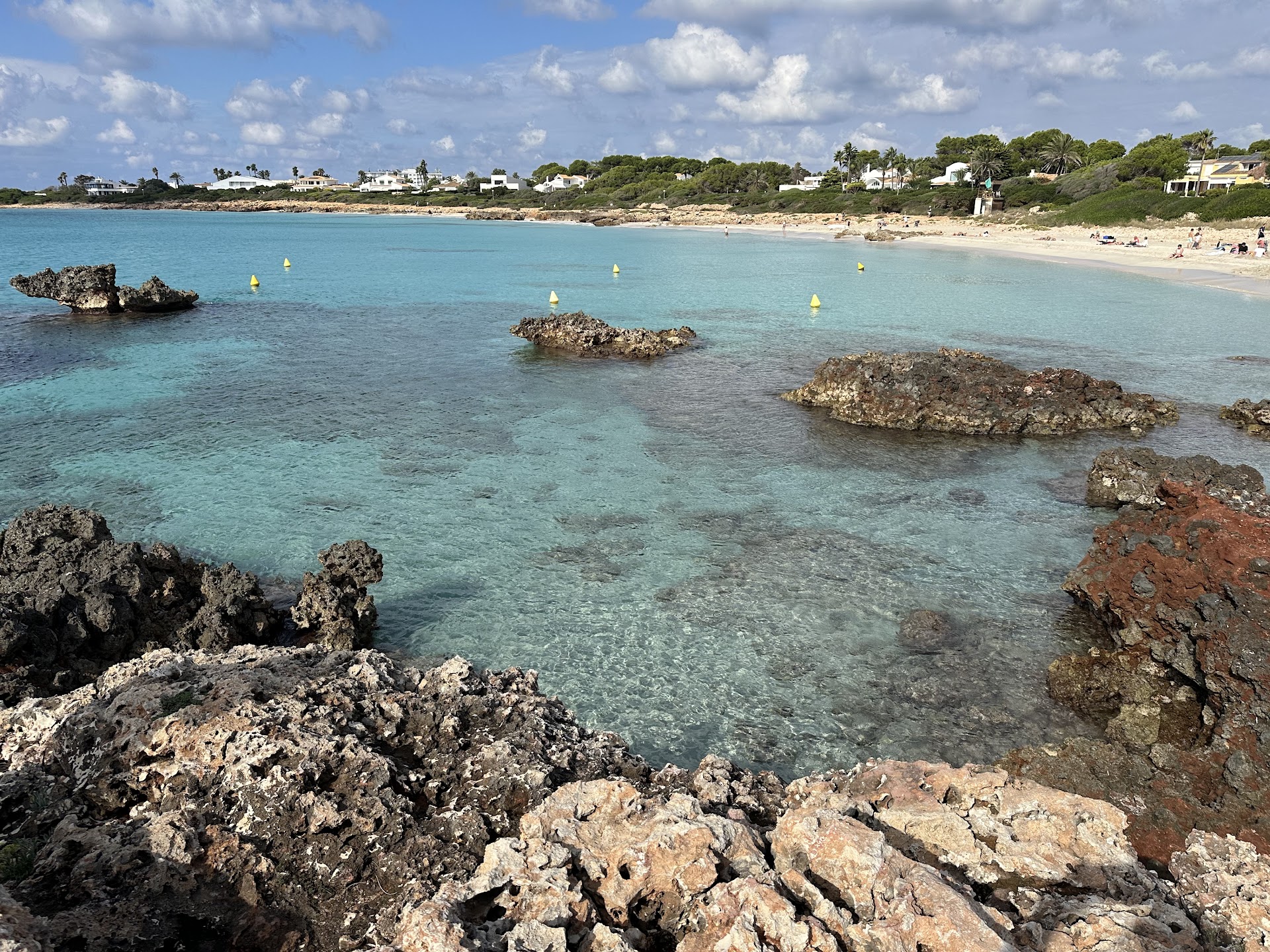 Dolphin Watching in Cala en Bosch photo 5