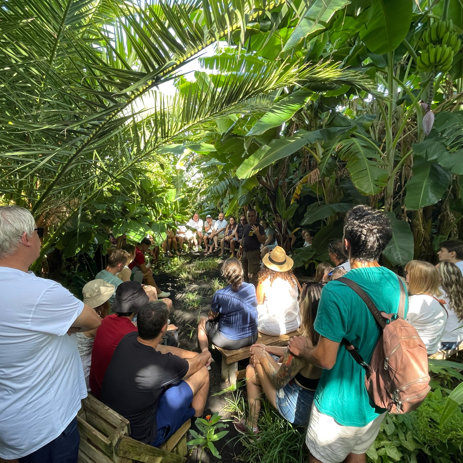 Ecofinca Platanológico