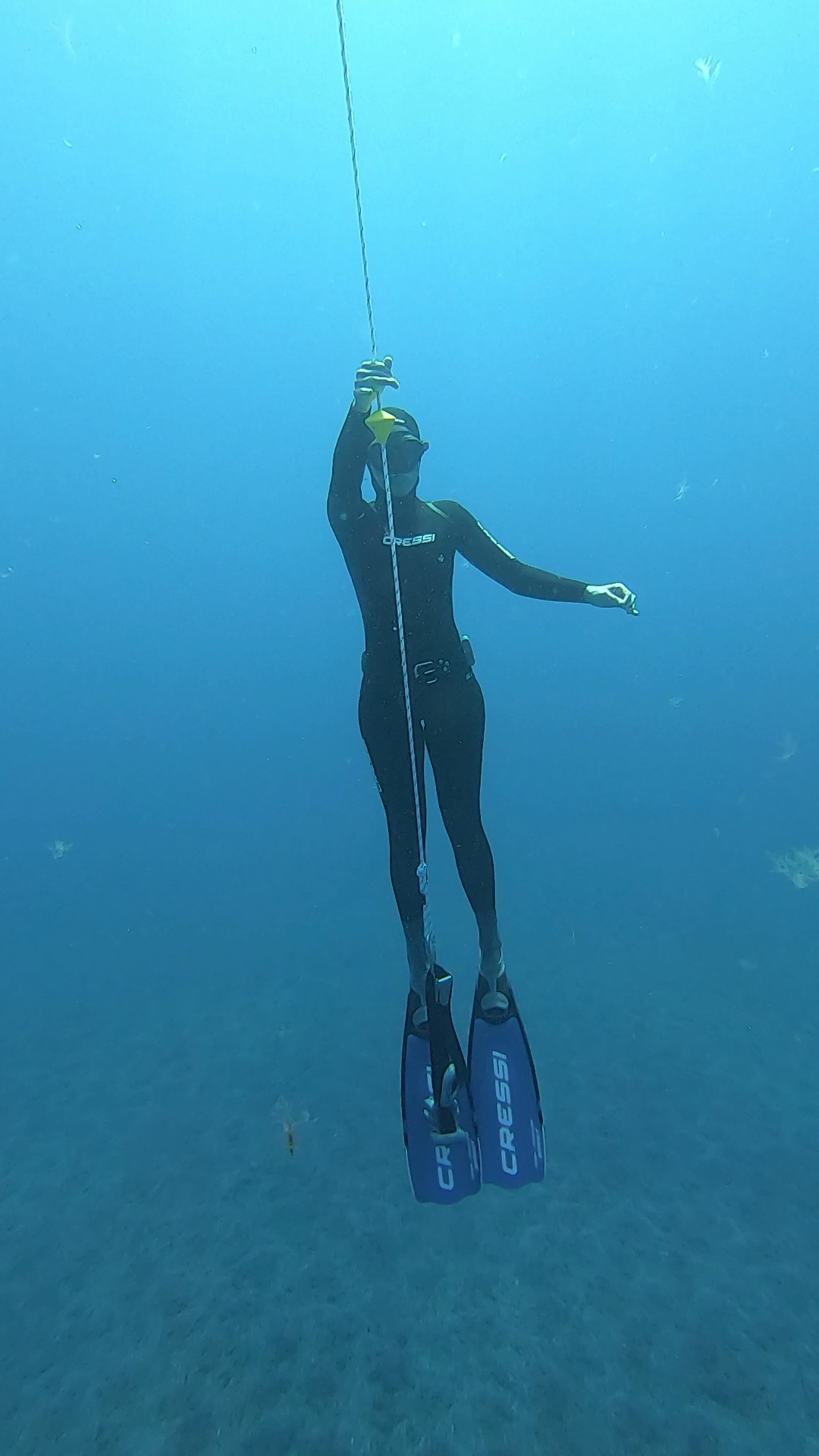 Freediving in Frontera photo 3