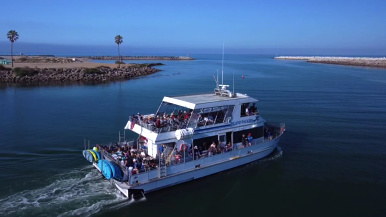 Island Packers Cruises