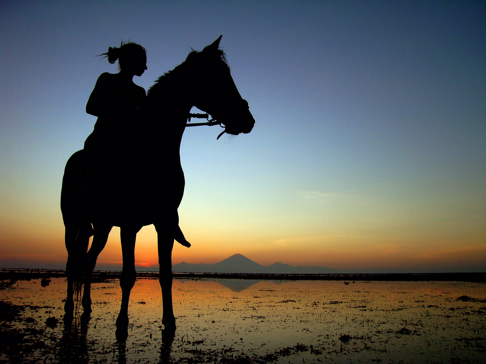 Horseback Riding in Gili Air photo 1
