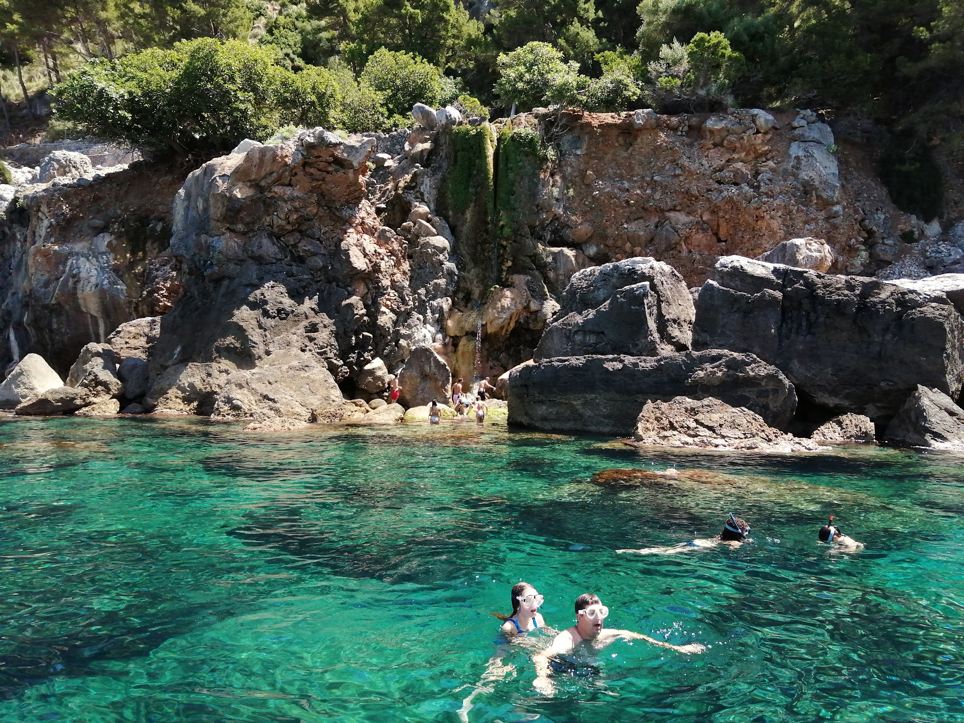 Dolphin Watching in Port de Sóller photo 2