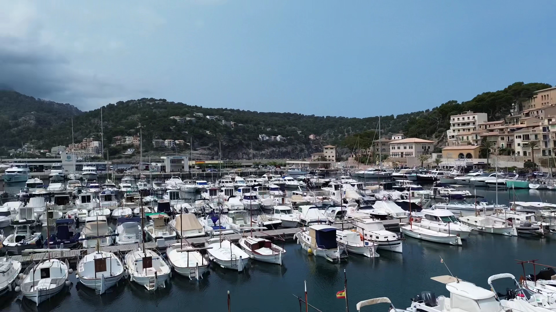 Dolphin Watching in Port de Sóller photo 5