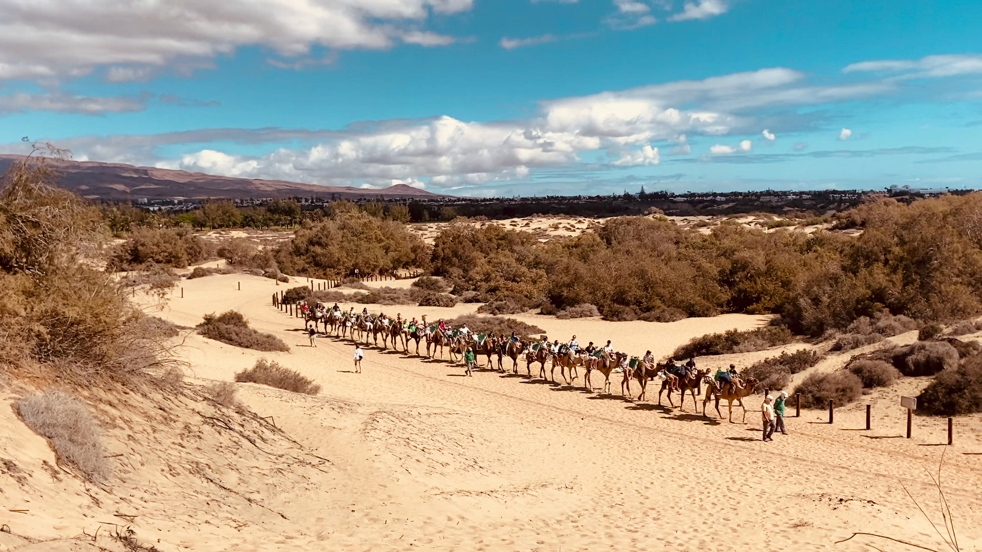 Aparcamiento camellos maspalomas