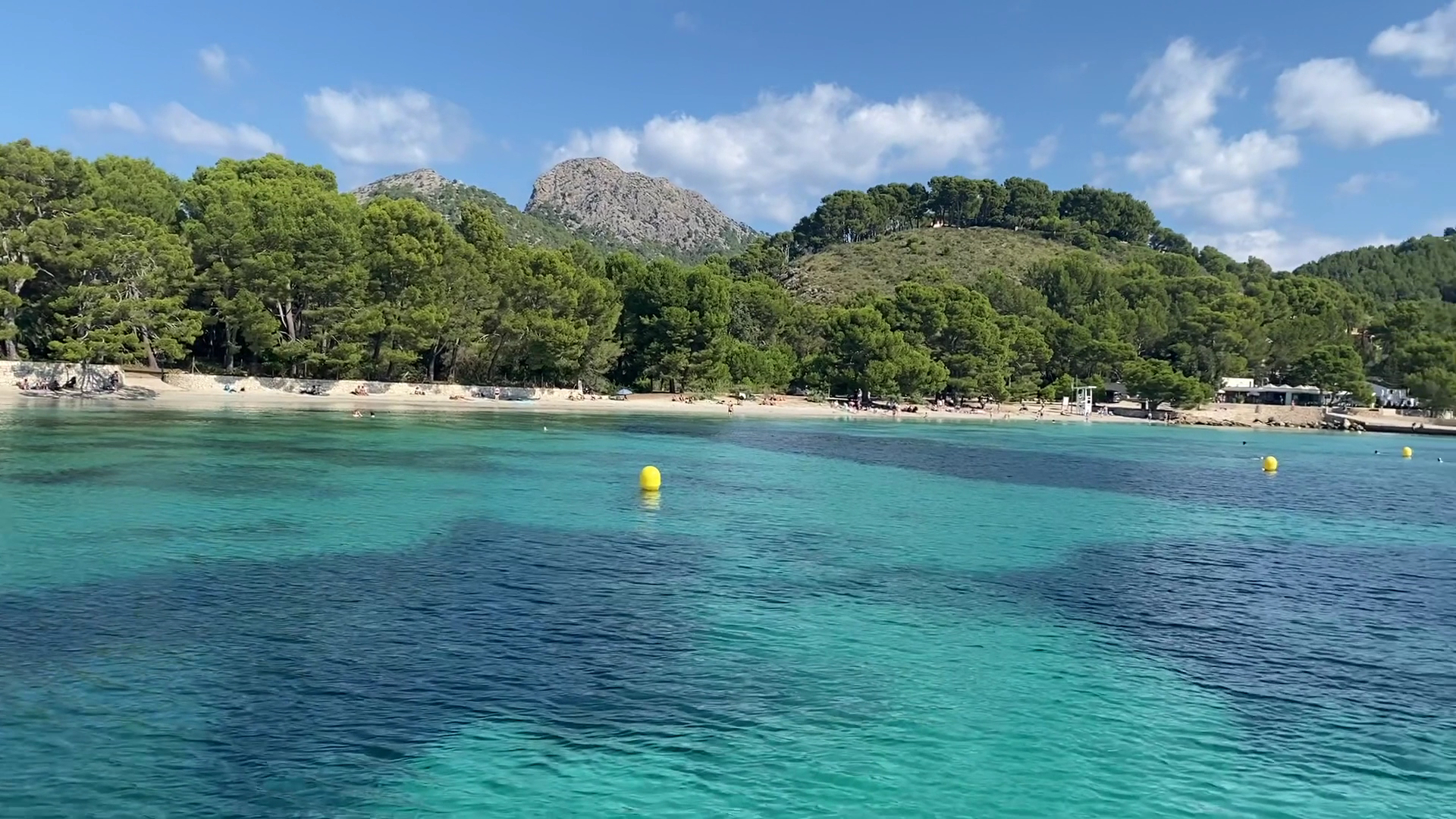 Whale Watching in Cala San Vicente photo 4