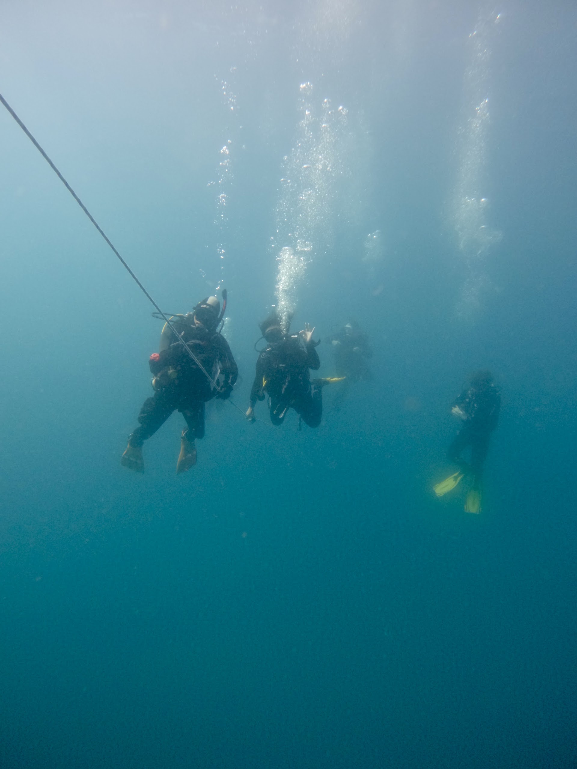 Diving & Snorkeling in gran canaria photo 1