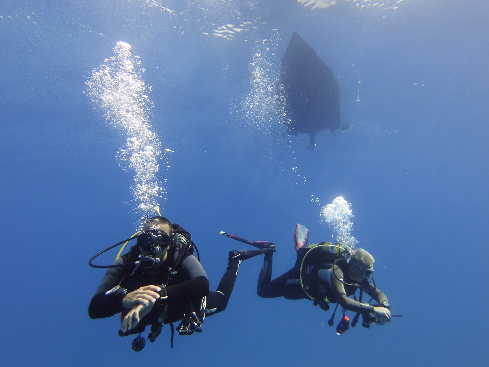 Diving & Snorkeling in gran canaria photo 2