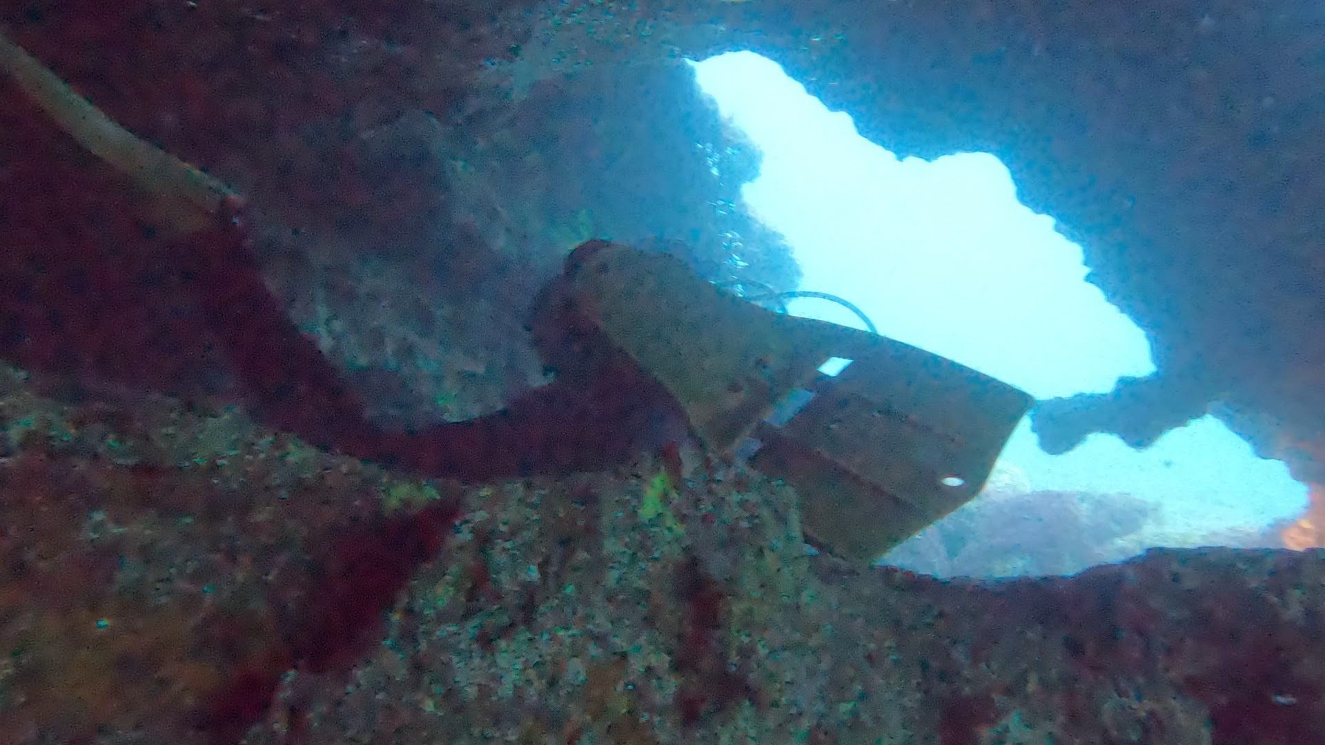 Diving & Snorkeling in gran canaria photo 3