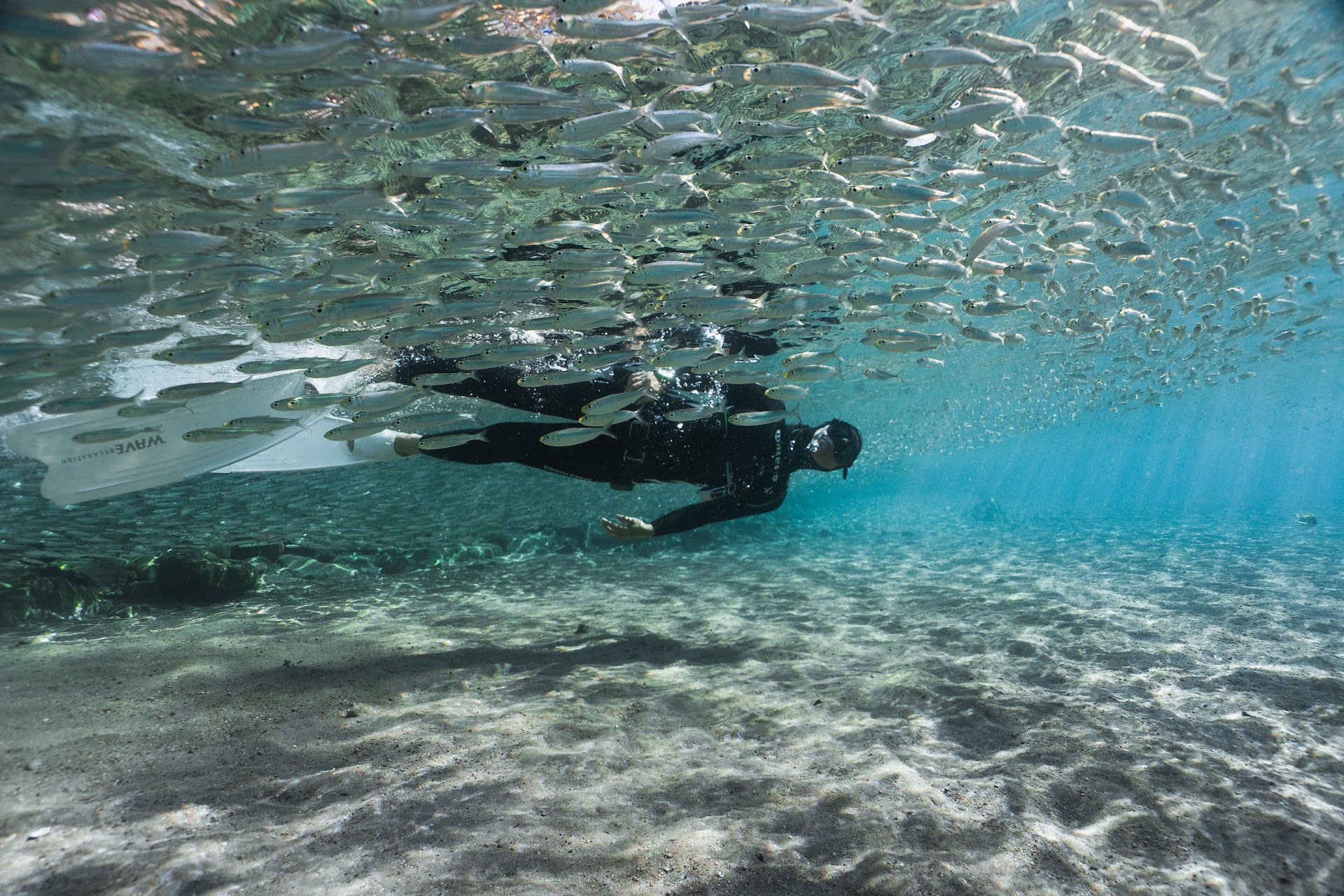 Freediving in Deià photo 4