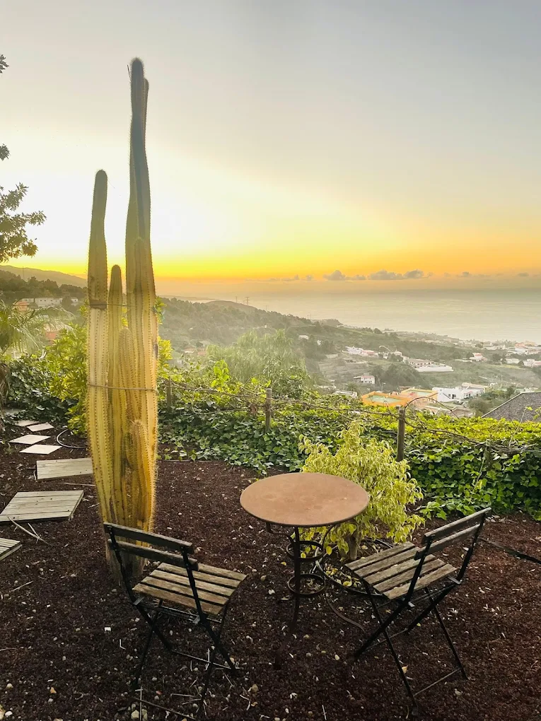 Wellness Retreat in La Caleta photo 3