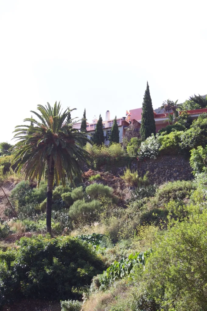 Wellness Retreat in La Caleta photo 4