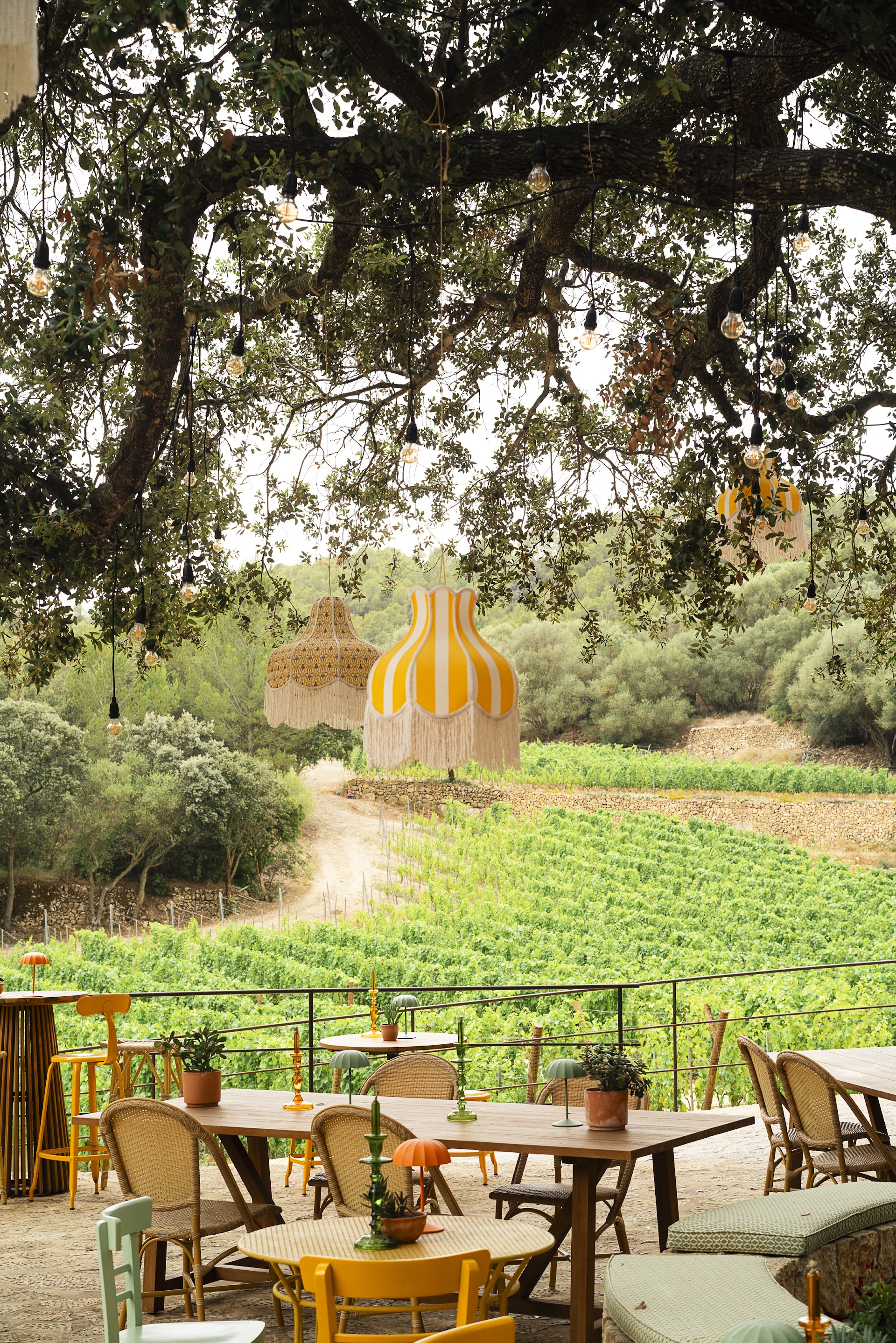 Wine Tasting in Camp de Mar photo 4