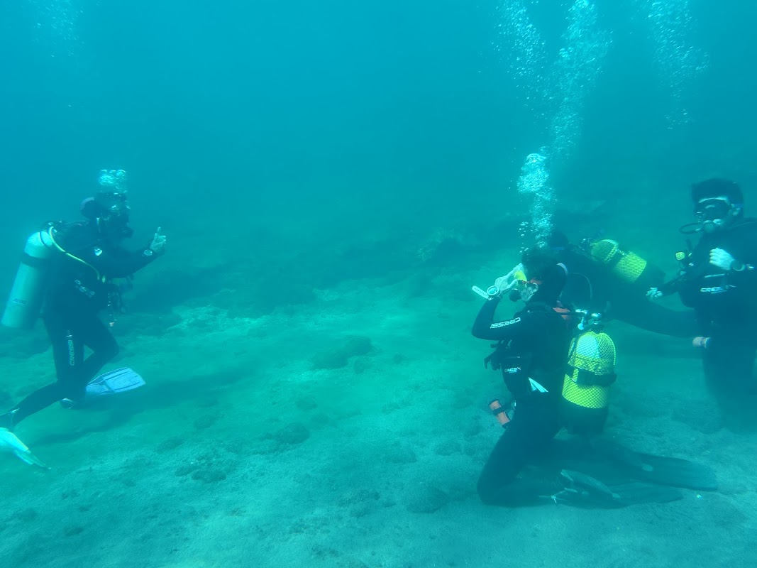 Freediving in Teror photo 5