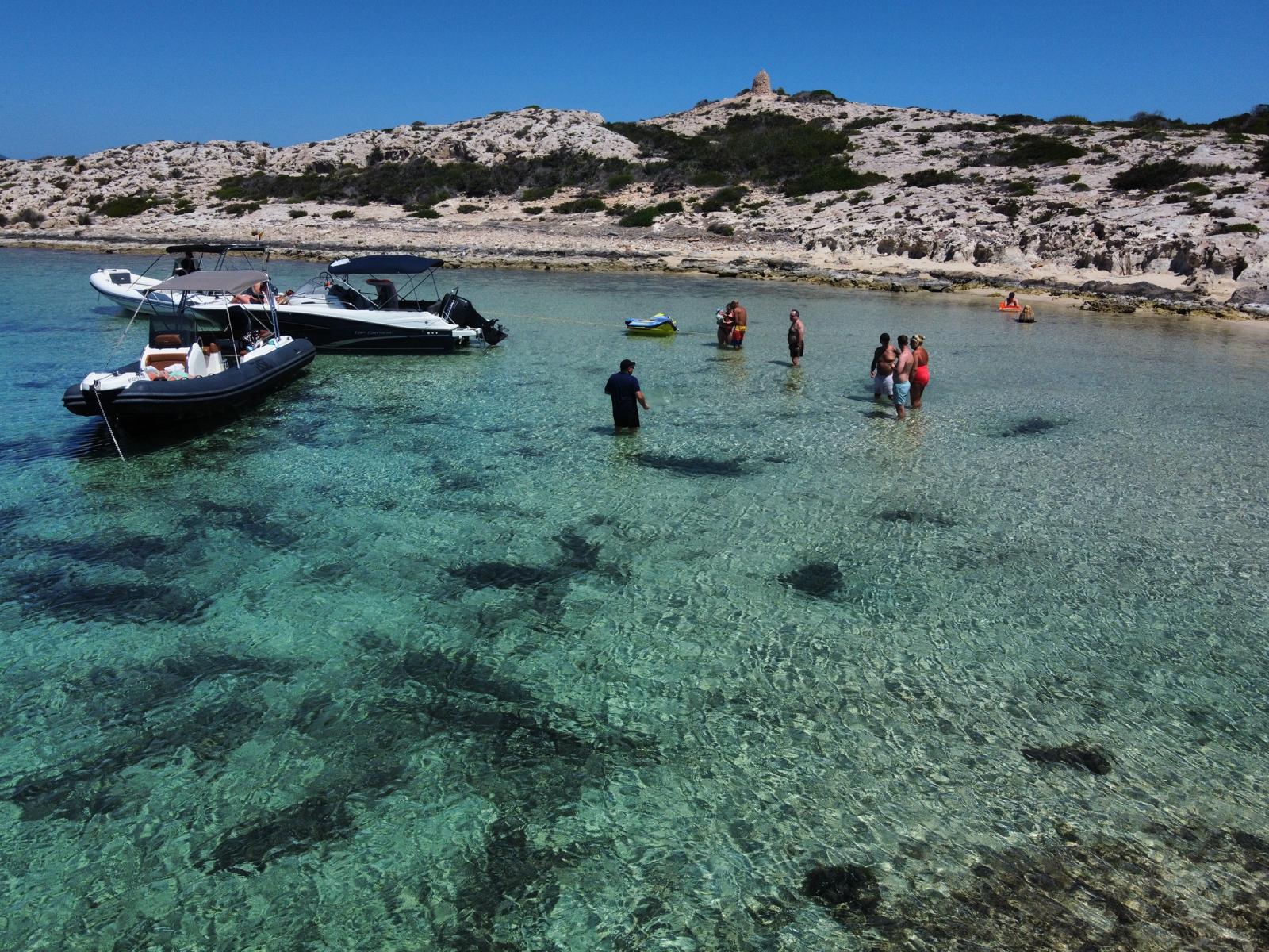 Whale Watching in Cala Llenya photo 2