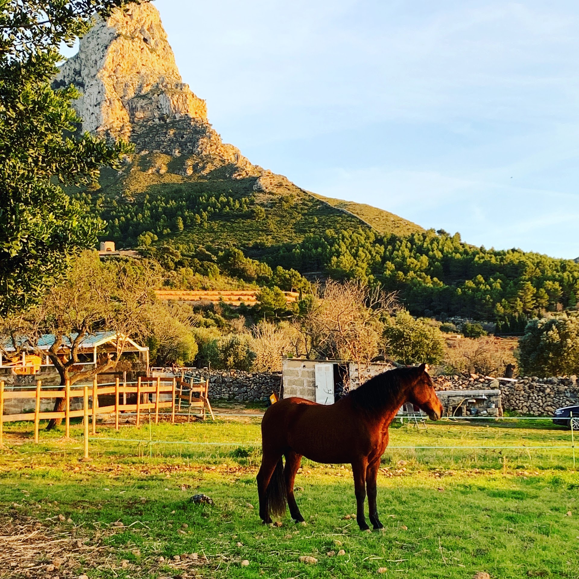 Campito Colonia Sant Pere