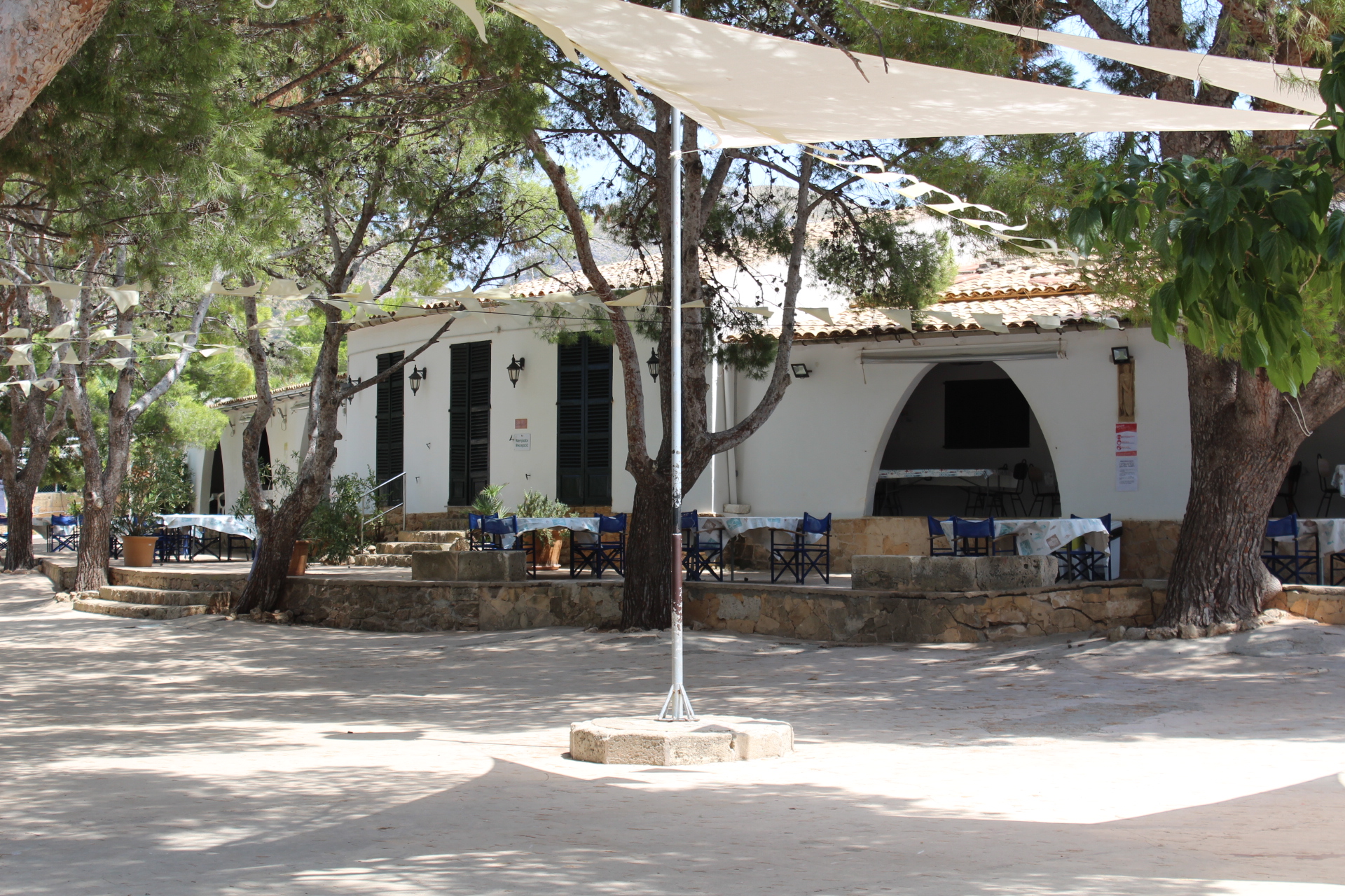 Horseback Riding in Colònia de Sant Pere photo 3