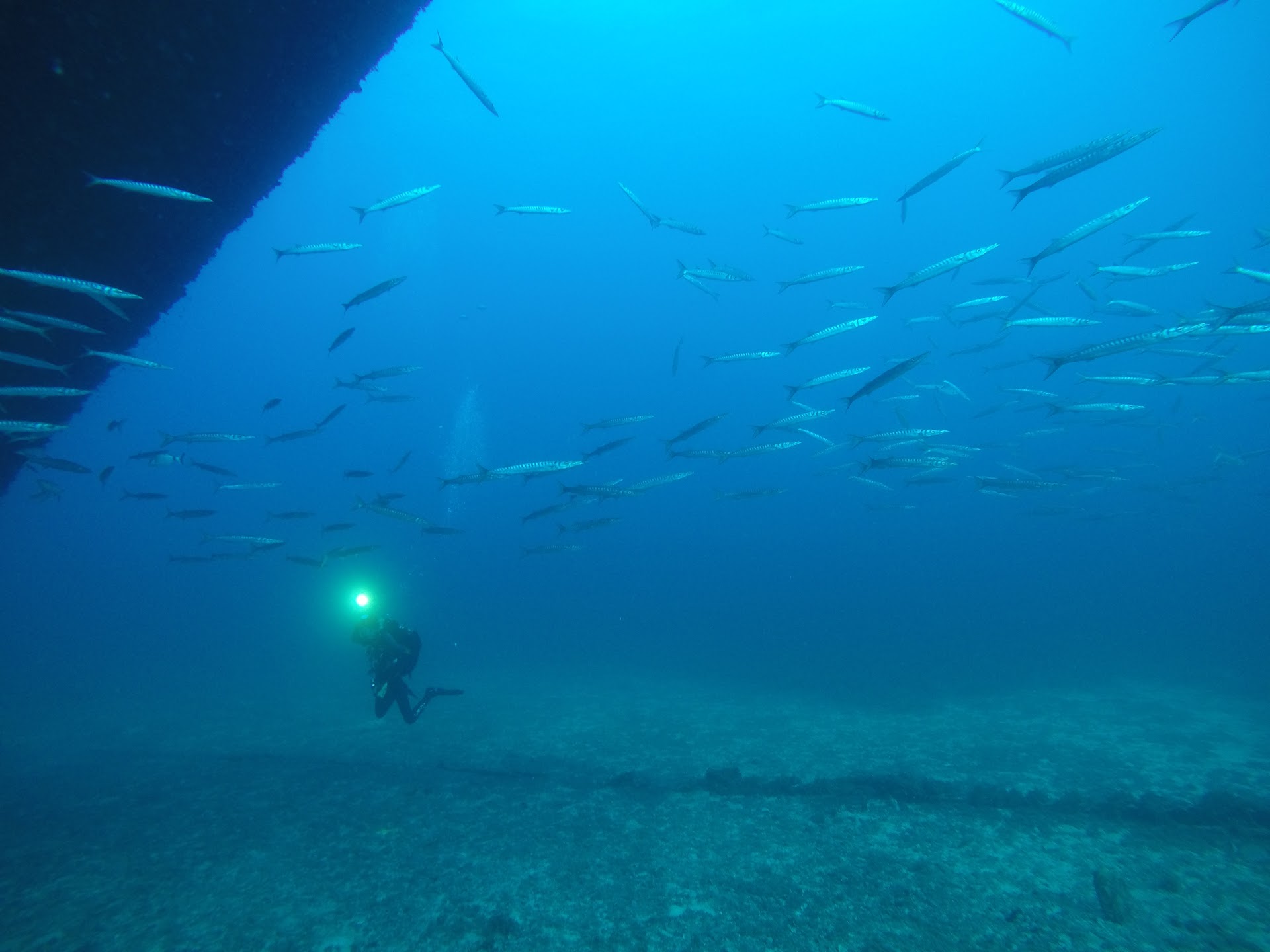 Diving & Snorkeling in Cala Llonga photo 2