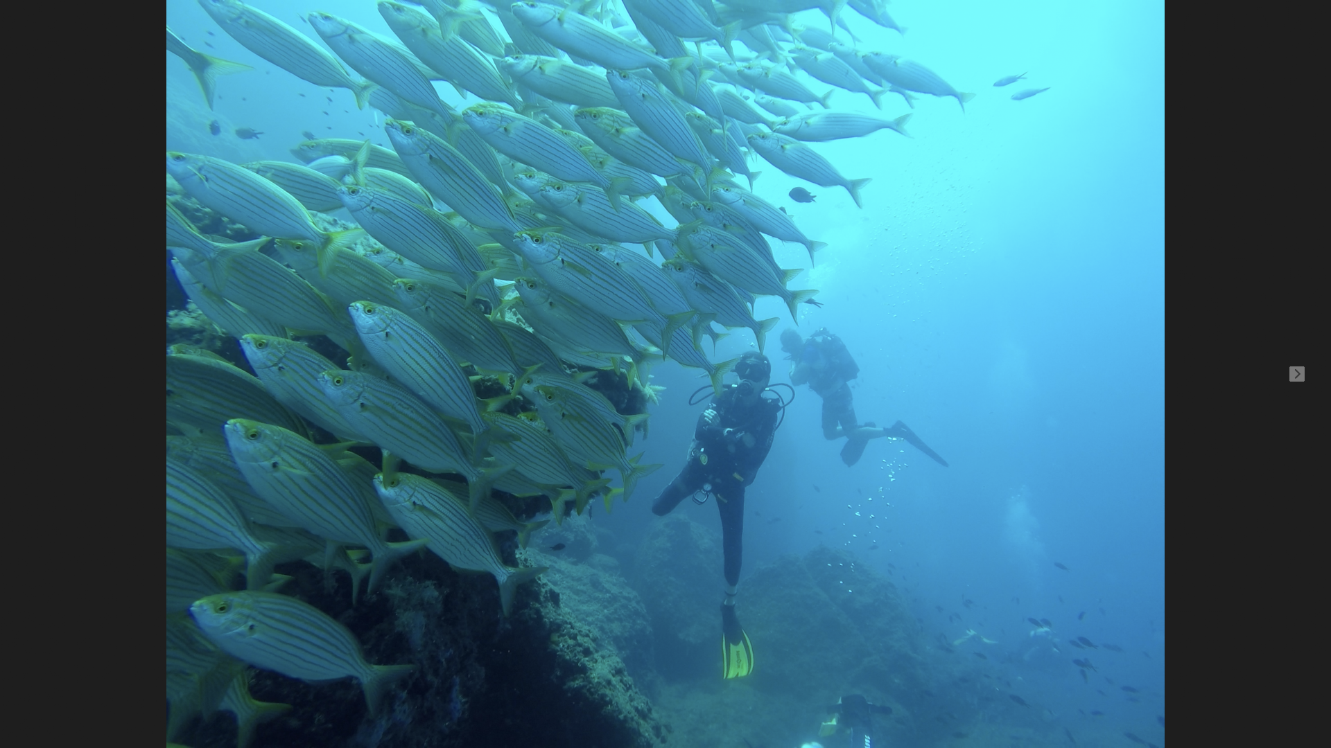 Diving & Snorkeling in Cala Llonga photo 5