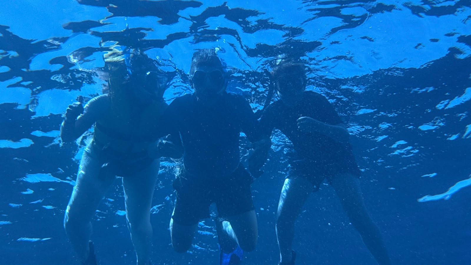 Scuba Courses in Figueretas photo 2
