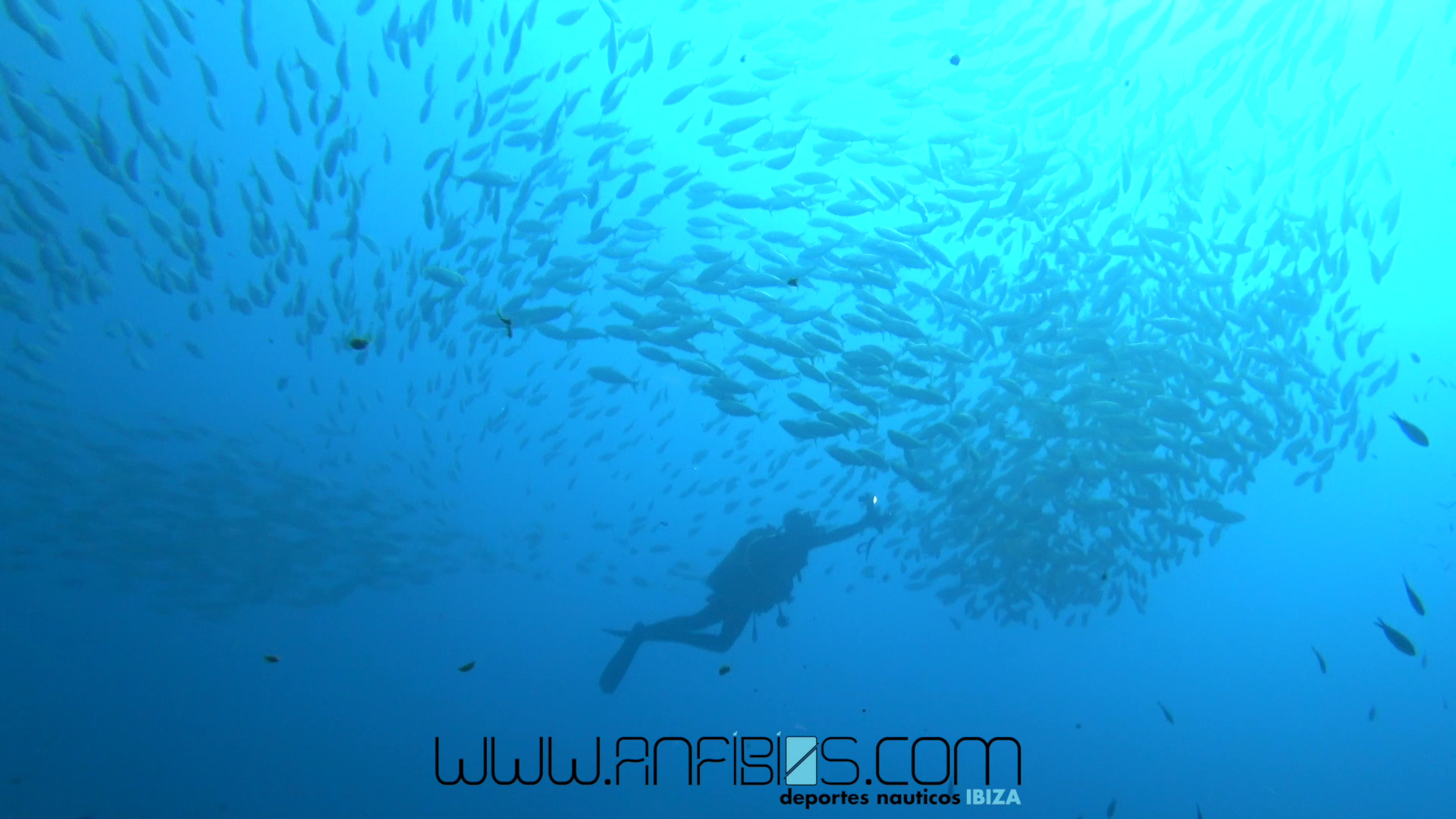 Scuba Courses in Figueretas photo 4