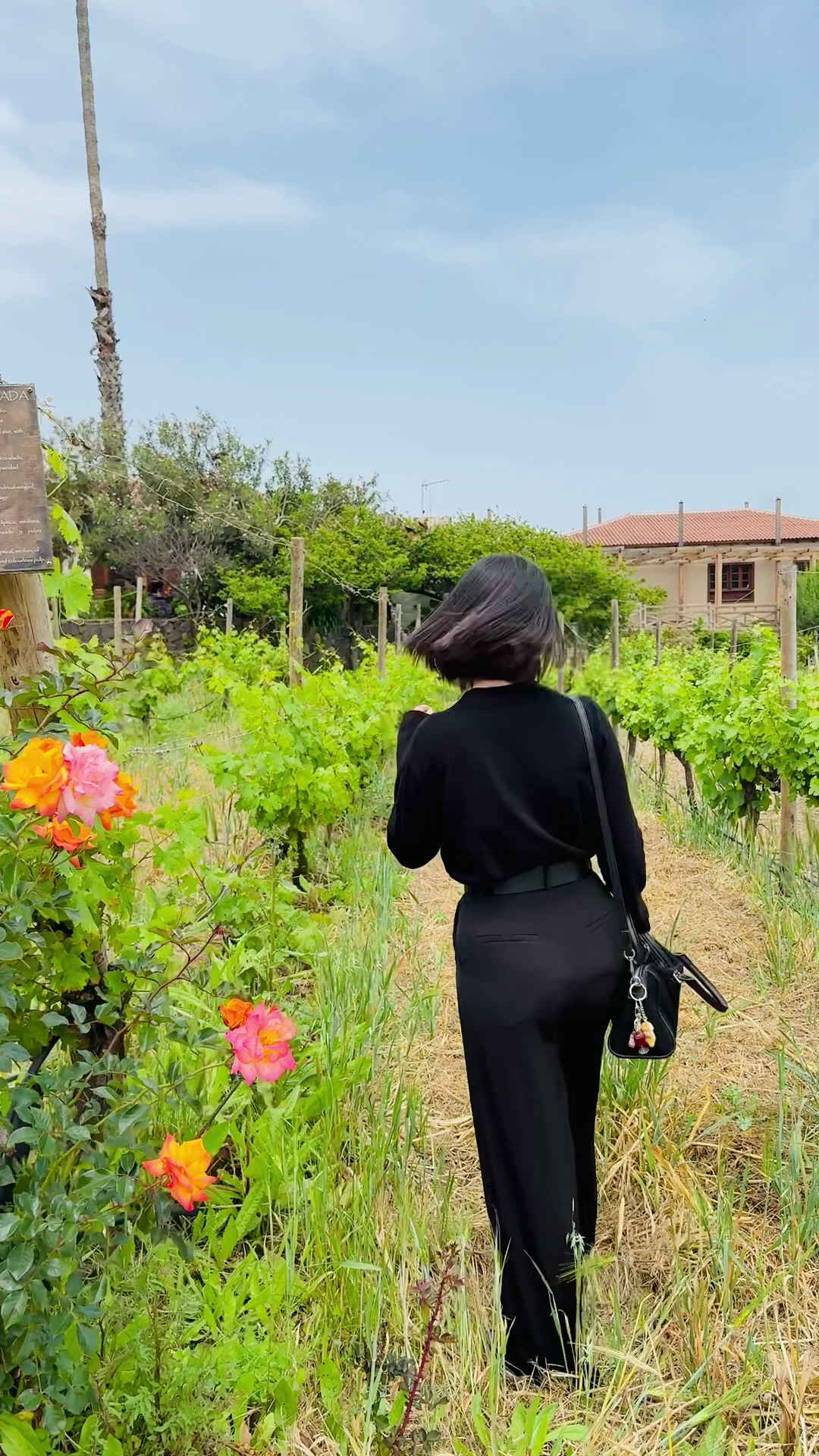 Wine Tasting in El Pinar photo 3