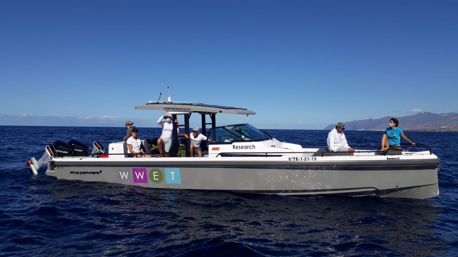 Whale Watching in San José photo 1